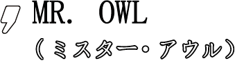 MR. OWL(ミスター・アウル)