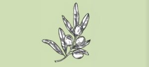 【やさしさに包まれたなら…！？】