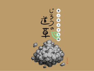 第二百三十二話　なんでだろう