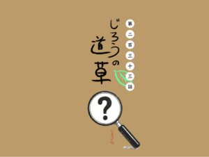 第二百三十三話　コウキシン