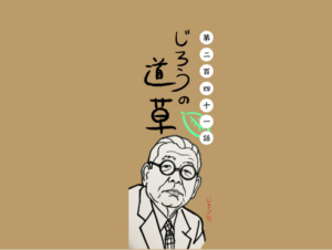 第二百四十一話　みてみてみて